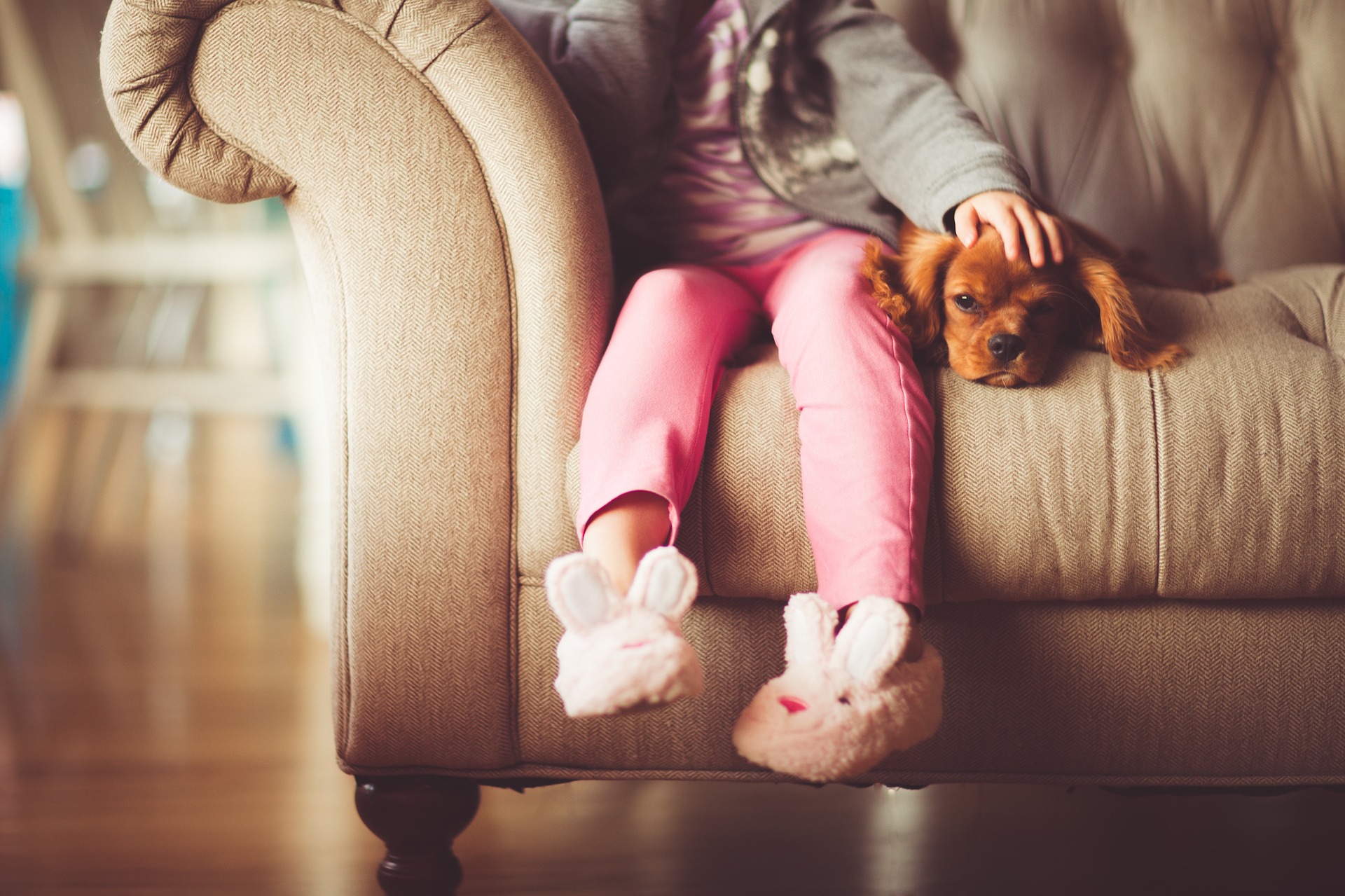 Young girl sitting on couch with small puppy